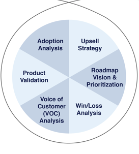 The accelerator section of the GTM process by Fluvio. It's sectioned into adoption analysis, upsell strategy, roadmap vision and prioritisation, win/loss analysis, voice of customer analysis, and product validation. 