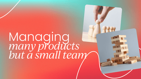 Managing a large product portfolio   with limited team members